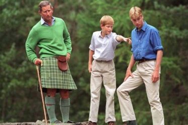 Le prince William "savourait la liberté" qu'il avait avec le prince Charles par rapport aux "problèmes" de Diana