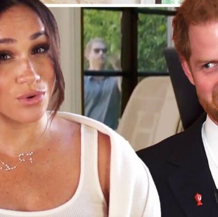 Prince Harry le clown !  Duke ridiculisé en tant que « bouffon à la cour de la reine Meghan »