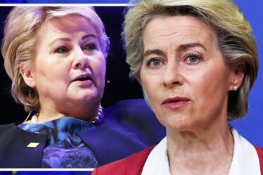 Penny tombe !  La Norvège riposte à l'ingérence de l'UE : "On a perdu trop d'autorité"