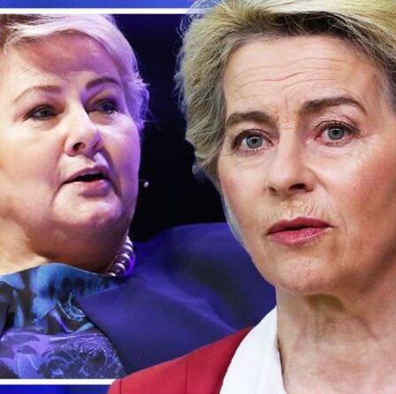Penny tombe !  La Norvège riposte à l'ingérence de l'UE : "On a perdu trop d'autorité"