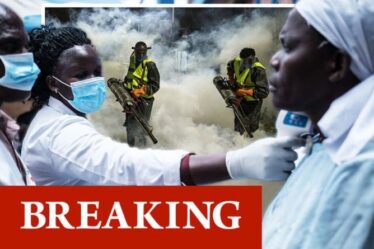 Panique du virus de Marburg: 155 pourraient être infectés après qu'un homme "se saigne à mort" - L'OMS sonne l'alarme