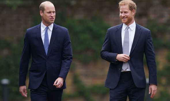 William : Avec Harry au dévoilement de la statue de Diana