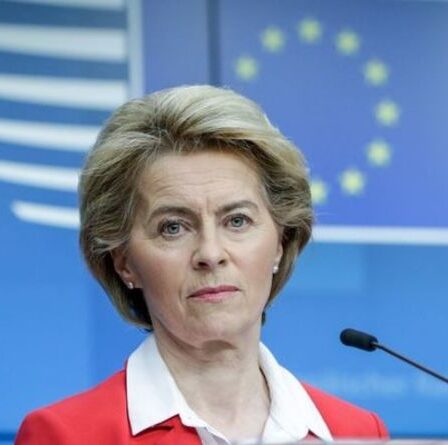 L'UE exposée: le budget des jets privés augmenté de millions malgré la demande nette zéro de Von der Leyen