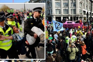 Fureur de la rébellion d'extinction: les manifestations de la police ont coûté aux contribuables britanniques 50 millions de livres sterling – chiffre fixé à SURGE