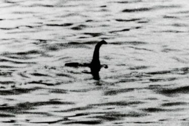 L'origine du monstre du Loch Ness découverte dans une "théorie plausible" sur ce qu'est la bête mythique