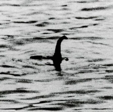 L'origine du monstre du Loch Ness découverte dans une "théorie plausible" sur ce qu'est la bête mythique