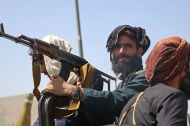 Les talibans traquent les traducteurs aidant le Royaume-Uni et les États-Unis à faire du porte-à-porte – « Torture et exécutions ! »