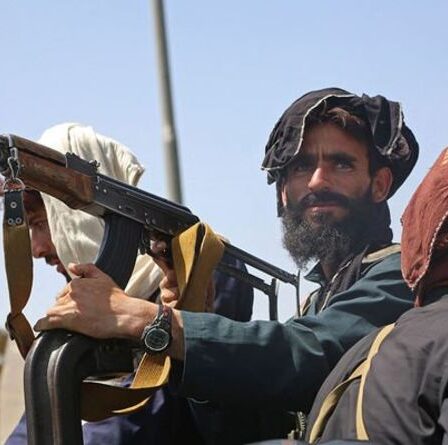 Les talibans traquent les traducteurs aidant le Royaume-Uni et les États-Unis à faire du porte-à-porte – « Torture et exécutions ! »