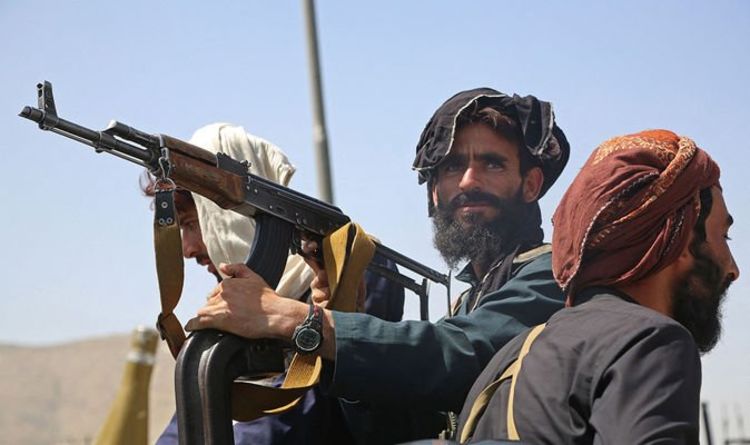Les talibans traquent les traducteurs aidant le Royaume-Uni et les États-Unis à faire du porte-à-porte – « Torture et exécutions ! »