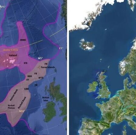 Un mystérieux «continent caché» sous l'Islande pourrait signifier que la Pangée n'est pas brisée