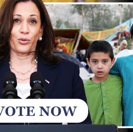 SONDAGE : Kamala Harris ferait-il un meilleur travail en tant que président américain que Joe Biden ?