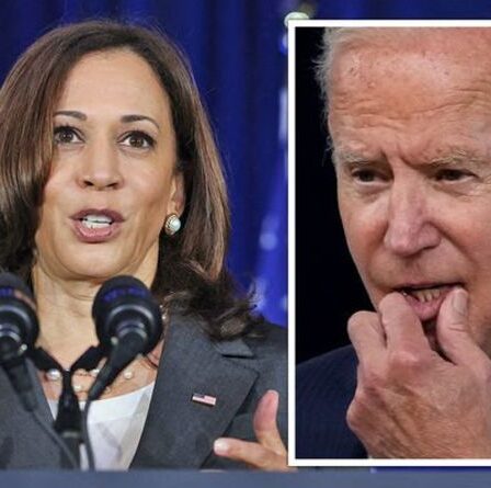 Joe Biden au bord du gouffre alors que Kamala Harris s'apprête à prendre le relais après le "fiasco" afghan