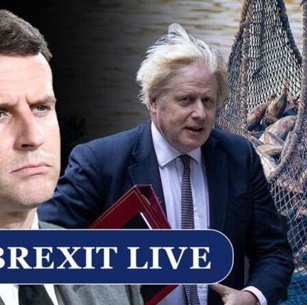 Brexit EN DIRECT: une ligne de pêche à Jersey éclate ENCORE alors qu'un chalutier français accusé d'infraction au thon