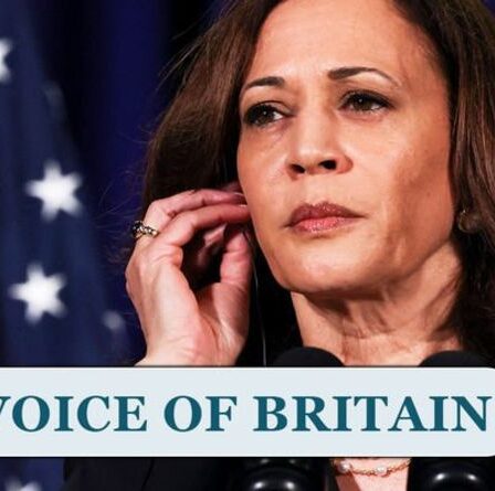 « Joe est meilleur que Kamala ! »  Les Britanniques ne soutiendraient pas un changement de présidence américaine – sondage