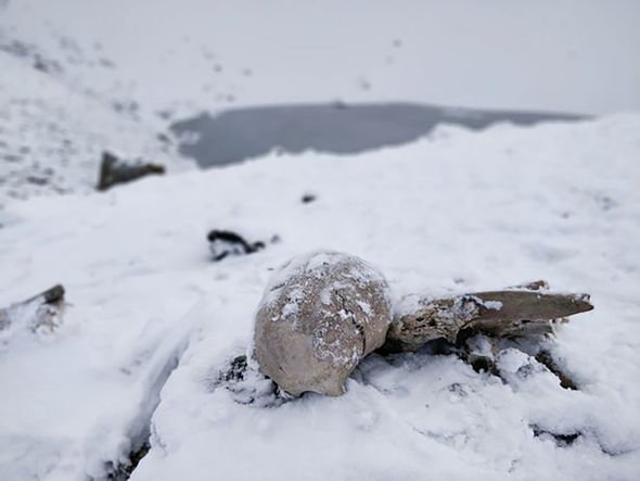 squelettes couverts de neige