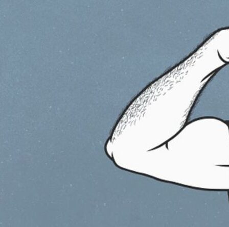 6 personnalités masculines : Êtes-vous de type alpha, bêta, gamma, oméga, delta ou sigma ?