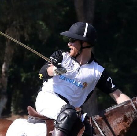 « À quel point Harry est-il heureux ? ! »  Les experts royaux font l'éloge de l'apparence de Duke alors qu'il montre son "papa corps"