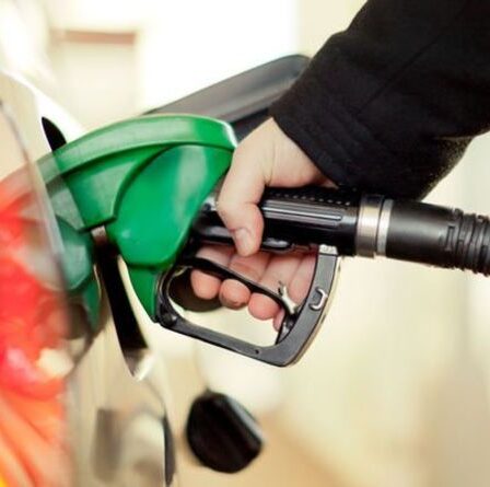 AA avertit les propriétaires de voitures à essence classiques "ne veulent pas laisser" le nouveau carburant E10 dans leurs réservoirs