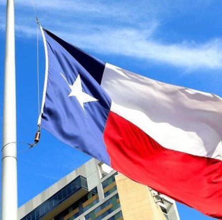 Accident d'horreur au Texas: 10 morts et 13 blessés après le retournement d'une camionnette transportant des migrants illégaux