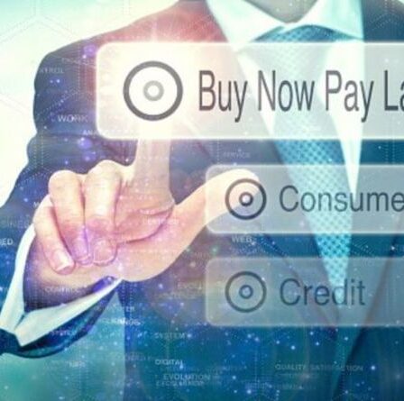 Achetez maintenant, payez plus tard : il est prouvé que la façon dont vous faites vos achats vous fait dépenser plus