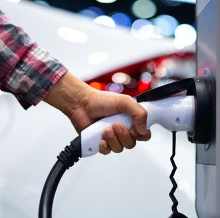 Action nécessaire pour «accélérer» la production de voitures électriques afin de réduire les coûts initiaux