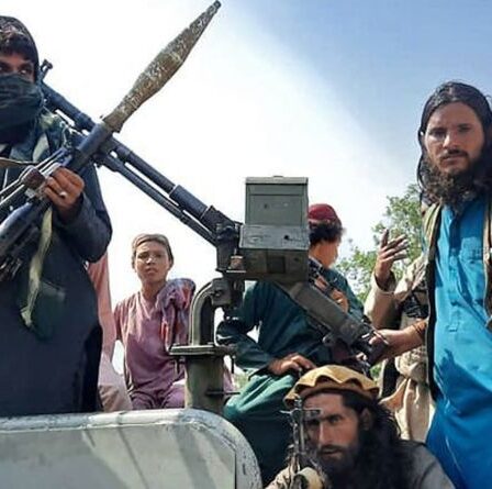 Afghanistan : que veulent vraiment les talibans ? Kaboul dernière