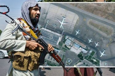 Afghanistan : une incroyable carte spatiale retraçant les troupes talibanes aide à sauver les interprètes afghans