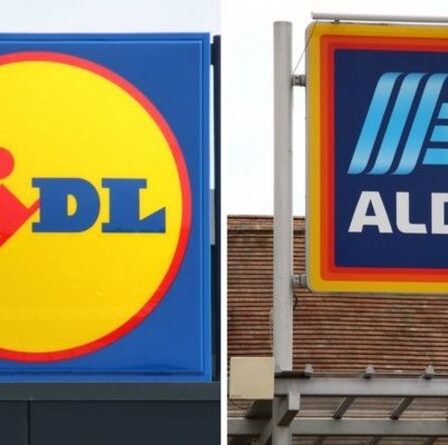 Aldi vs Lidl: le supermarché britannique le moins cher dévoilé – battant son rival de seulement 18p