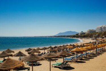 Alerte aux méduses en Espagne émise: la Costa del Sol fait face à des poissons piqueurs «tout l'été»
