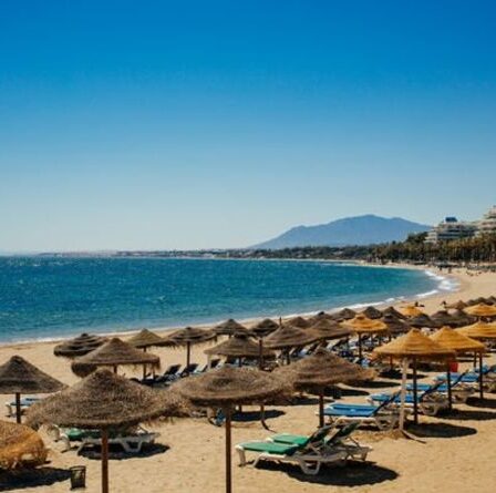 Alerte aux méduses en Espagne émise: la Costa del Sol fait face à des poissons piqueurs «tout l'été»