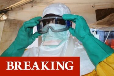 Alerte rouge de l'OMS : un homme décède alors qu'un nouveau virus hautement contagieux est identifié et ses porteurs isolés
