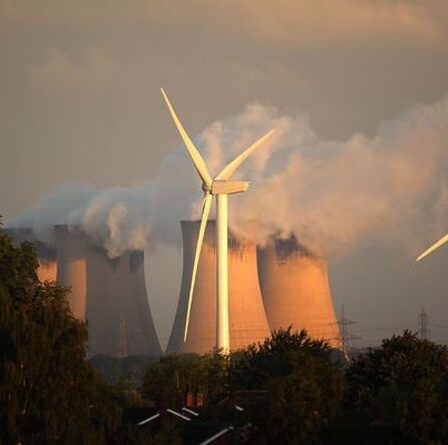 Allégations « fausses » d'électricité verte : les entreprises doivent abandonner les mensonges et agir pour l'environnement