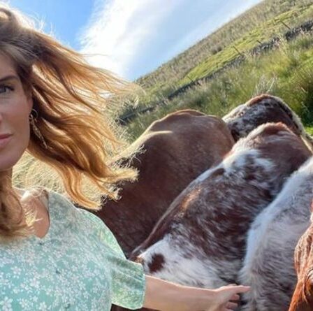 Amanda Owen de notre ferme du Yorkshire partage le maigre bénéfice de Ravenseat «Ça ne vaut rien»