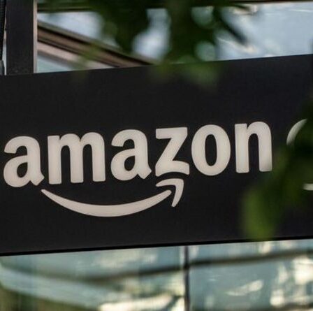 Amazon offre 5 £ GRATUITS à dépenser en ligne - comment obtenir le cadeau du jour