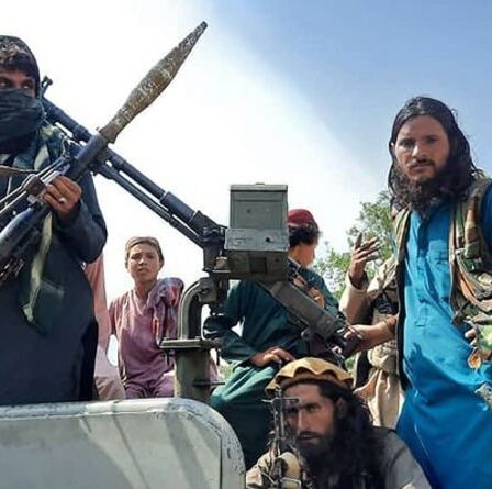 Andrew Neil expose une "préoccupation croissante" concernant la capacité de l'armée britannique à sauver des Britanniques piégés