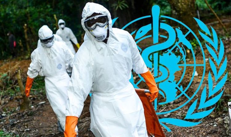 Annonce de l'OMS EN DIRECT : mise à jour majeure alors que la panique causée par les virus de Marburg et d'Ebola ravage l'Afrique