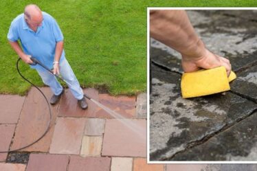 « Arrête la formation de mousse ! »  Les fans de Mme Hinch partagent un hack de 1 £ pour nettoyer les terrasses du jardin