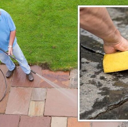 « Arrête la formation de mousse ! » Les fans de Mme Hinch partagent un hack de 1 £ pour nettoyer les terrasses du jardin