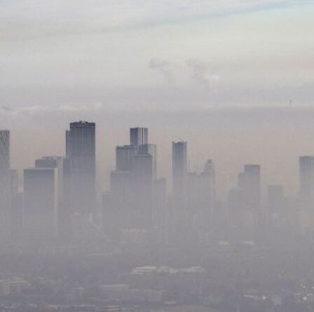 Avertissement Covid: le Royaume-Uni devrait se préparer à une «grande vague» en hiver, déclare le professeur Neil Ferguson