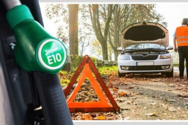 Avertissement concernant le carburant E10 : une nouvelle essence pourrait « endommager » les véhicules et « réduire les performances »