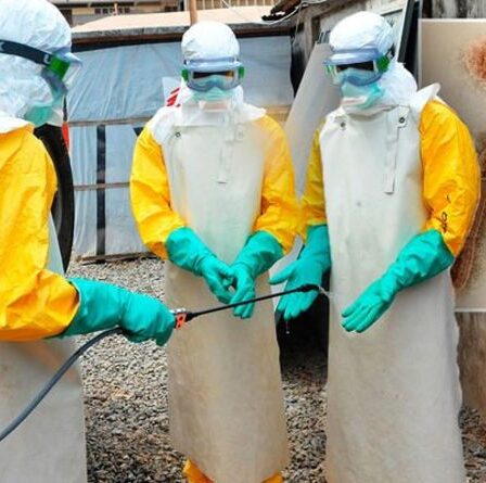 Avertissement sur le virus de Marburg : pourquoi le Royaume-Uni DOIT être « vigilant » pour les symptômes mortels du virus de type Ebola