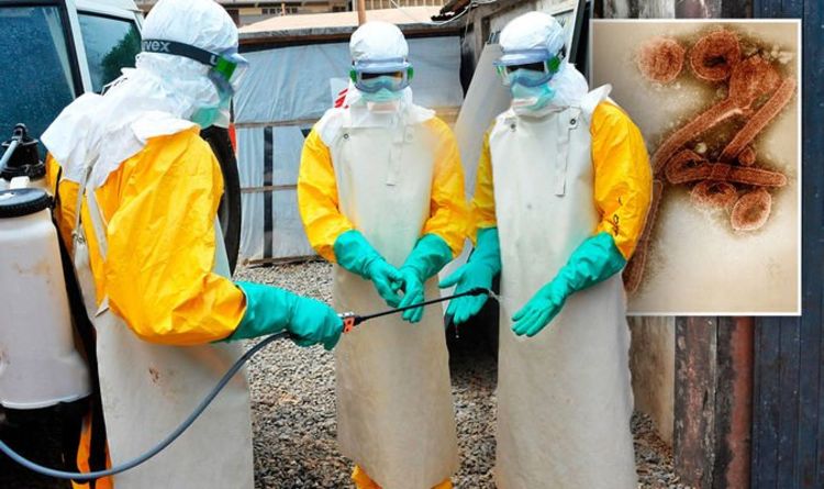 Avertissement sur le virus de Marburg : pourquoi le Royaume-Uni DOIT être « vigilant » pour les symptômes mortels du virus de type Ebola