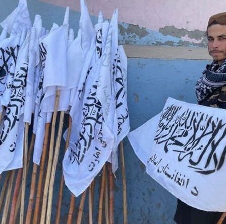 Biden honteux: un magasin de drapeaux talibans installé devant l'ambassade des États-Unis - "À quoi ressemble l'humiliation"