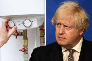 Boris Johnson s'apprête à offrir aux propriétaires une incitation de 4 000 £ pour remplacer les chaudières à gaz