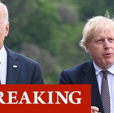 Boris et Biden imposent des sanctions à la Biélorussie pour lutter contre les «violations des droits humains»