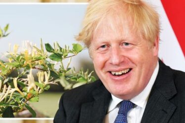 Brexit EN DIRECT: Boris exhorté à rouvrir l'accord commercial avec l'UE pour un coup de pouce d'un milliard de livres au Royaume-Uni