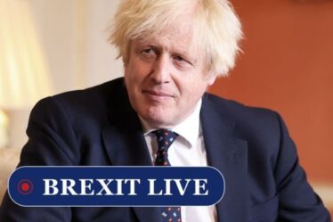 Brexit EN DIRECT : Boris ignore l'ultimatum pour sauver les entreprises du Nord-Est – le PM doit réduire les formalités administratives de l'UE