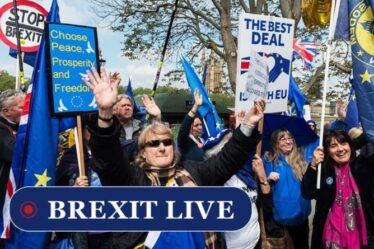 Brexit EN DIRECT : Desperate Rejoiner marche dévoilée pour annuler la sortie de l'UE - « Nous ne sommes pas partis ! »