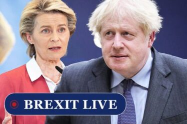Brexit EN DIRECT: le complot de l'UE pour amener le Royaume-Uni dans son "orbite réglementaire" dévoilé par l'ex-député européen Remainer