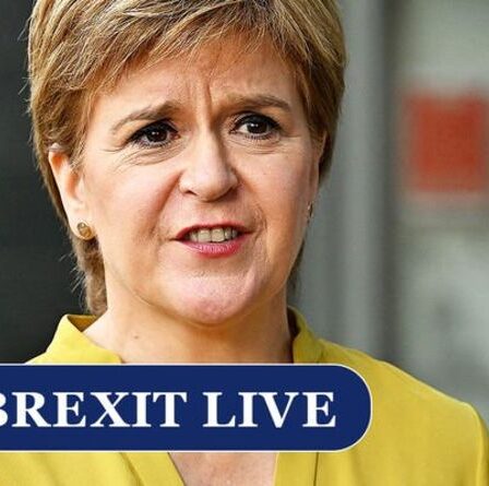 Brexit LIVE : Qu'est-il arrivé à Project Fear ?  Deux entreprises écossaises sur trois embauchent